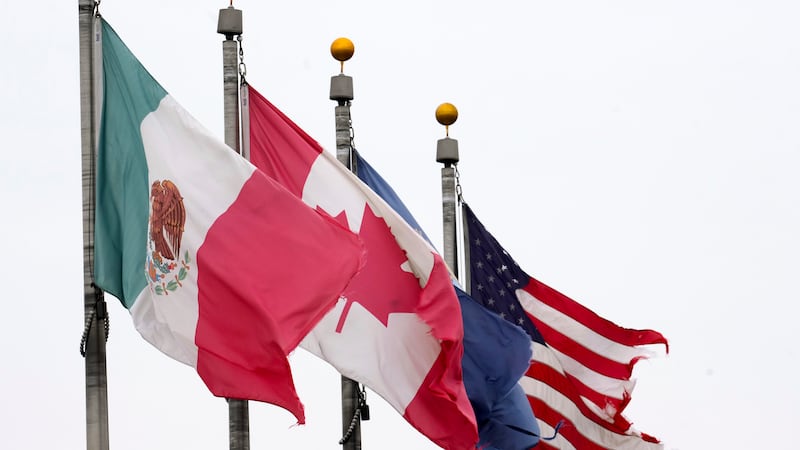 U.S. using trade talks, 50% tariffs as scare tactic: analyst