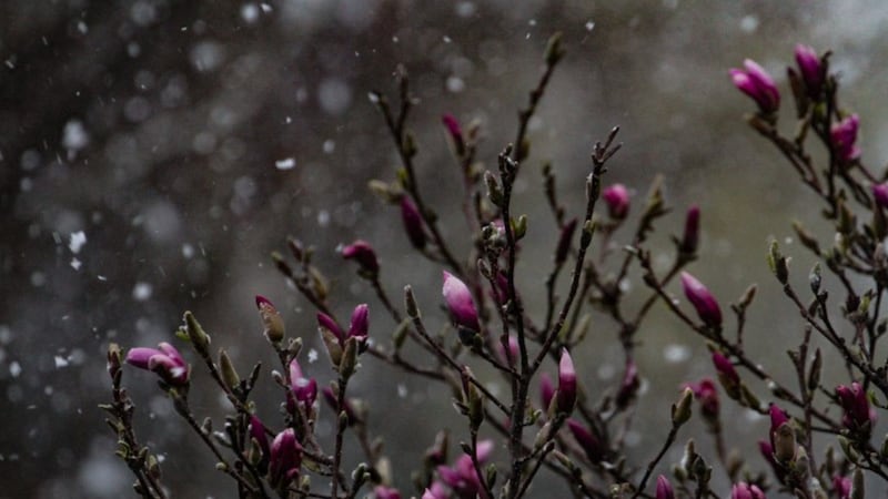 From wind chills to 20 C: A milder stretch of weather ahead