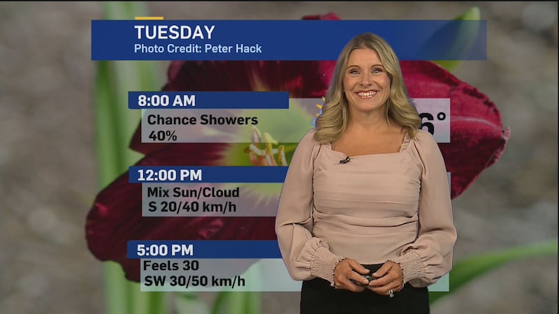 Warm, windy Tuesday ahead for London