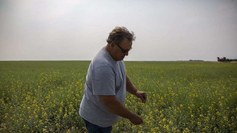 Saskatchewan senator, farmer Todd Lewis dies at age 65