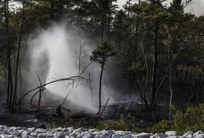 Firefighters work on the ground at the Susies Lake wildfire in Halifax on Aug. 12, 2025. (Source: Province of Nova Scotia)