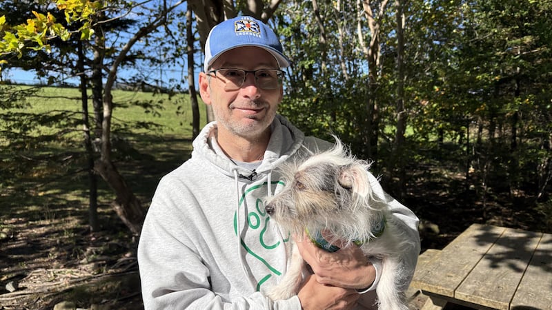 Halifax man creates app to help dog owners know when to go to off leash parks