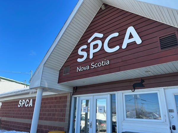 N.S. SPCA teams up with app to help simplify animal adoption process