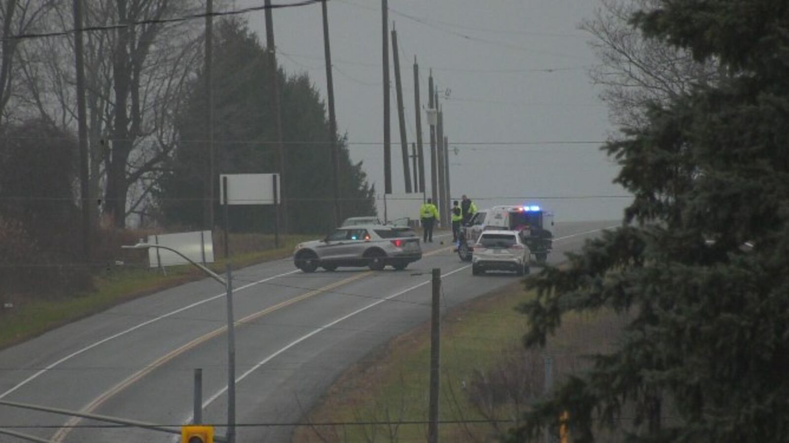 Bee Walk Pattern Pedestrian seriously injured in North Dumfries collision