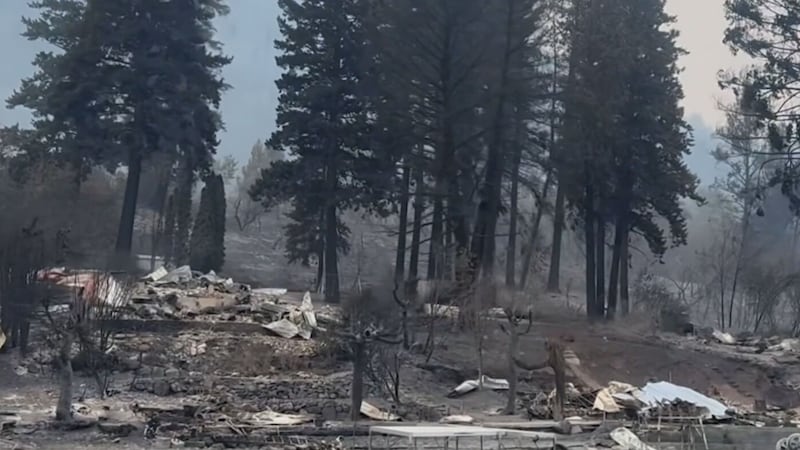 ‘Total obliteration’: Realtor’s video shows scope of destruction from B.C. wildfire