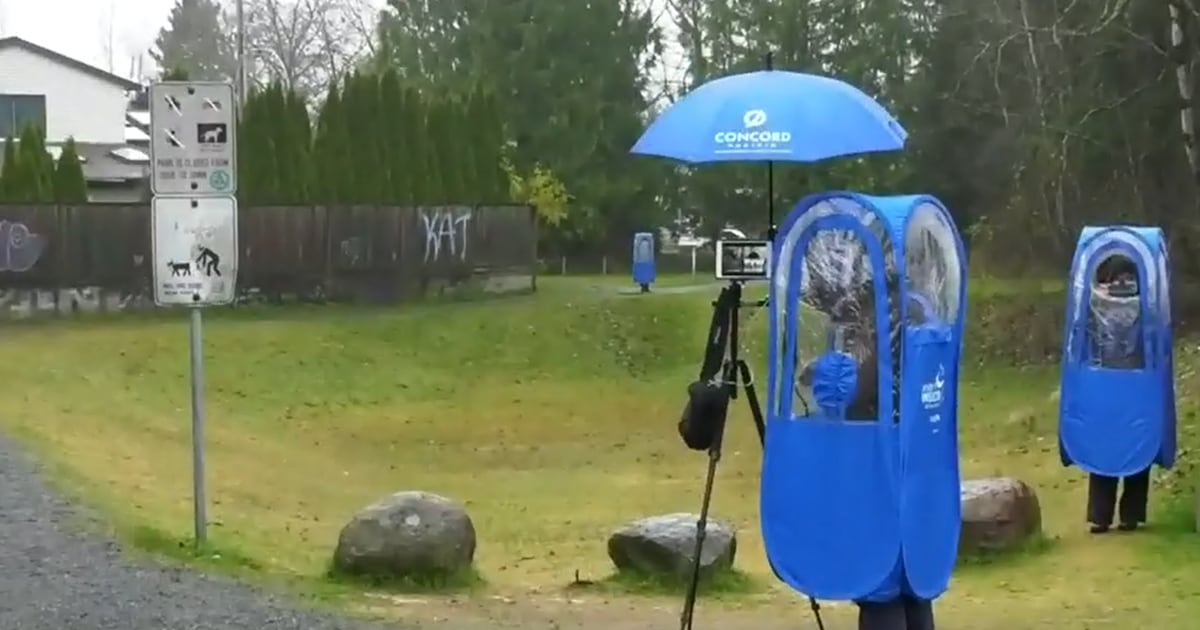 B.C. journalist targeted by protesters outside his home wins $275K in defamation lawsuit - CTV News