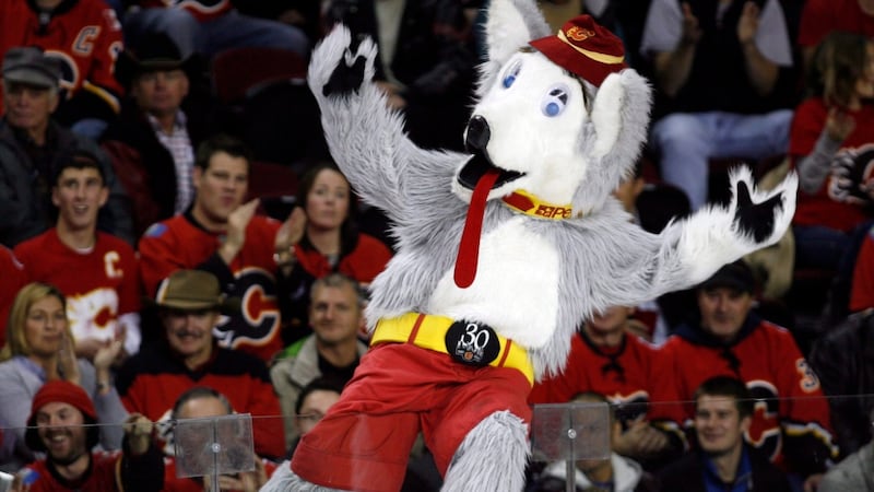 Harvey the Hound in the running for Best NHL Mascot in USA Today Sports Readers Choice Awards