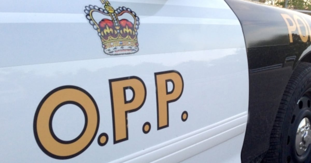 Hydro line repairs cause 401 closure in London, Ont.