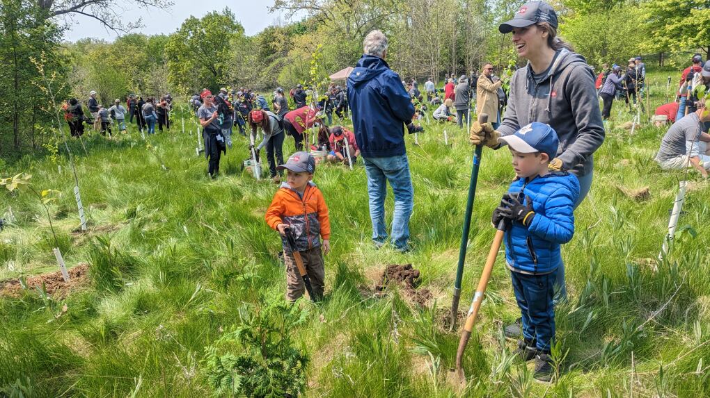 Tree Planting Camp Canada Life makes major donation to ReForest London, Ont. during tree ...