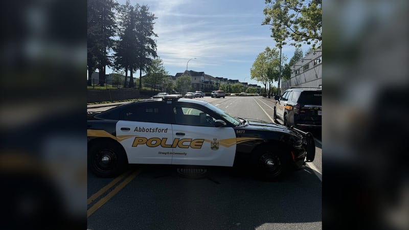 Drunk driver arrested after striking pedestrian, Abbotsford police say