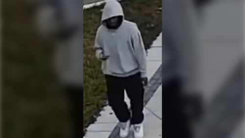 4 arrested, 1 suspect at-large following home invasion in Richmond Hill