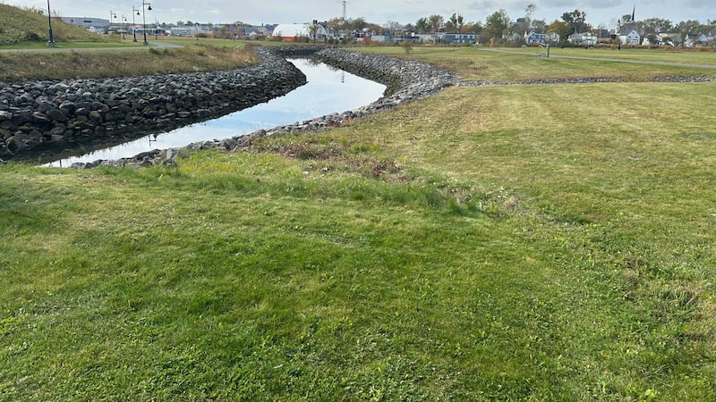Here’s why fish are finally returning to this Nova Scotia pond
