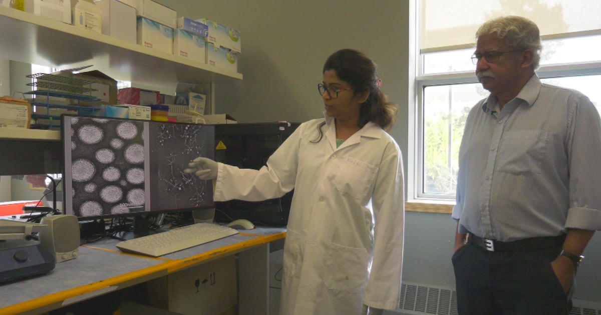 ‘I’ve never been so excited’: New nanoparticle study at U of A offers hope for new Alzheimer’s treatment - CTV News