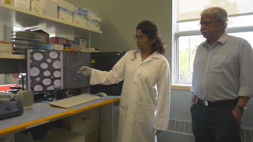 ‘I’ve never been so excited’: New nanoparticle study at U of A offers hope for new Alzheimer’s treatment