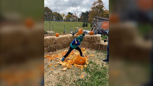 A child is pictured swinging a rubber hammer to smash a jack-o'-lantern at Common Roots Urban Farm in Halifax, N.S., during the annual Harvest Hootenanny on Nov. 1, 2025. (Vanessa Wright / CTV Atlantic)