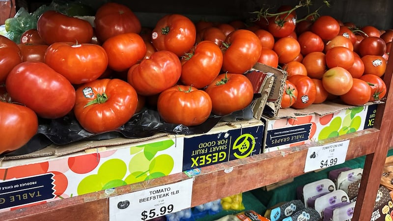 Tomatoes become latest symbol of America’s affordability squeeze