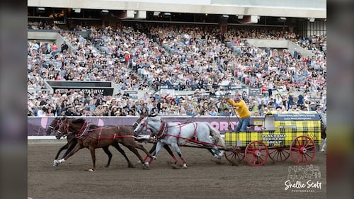 Laboucane continues to roll at Rangeland Derby, increasing overall lead with sizzling ride