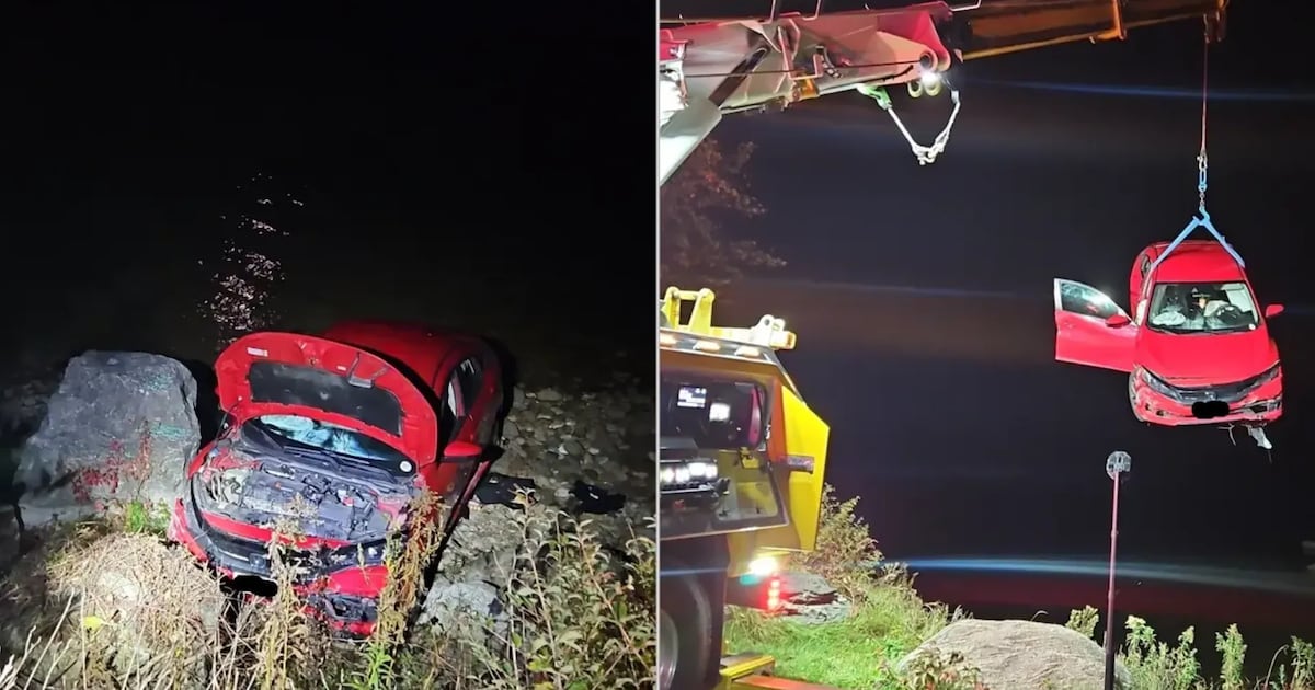 Owen Sound teen charged after vehicle plunges down Georgian Bay embankment - CTV News