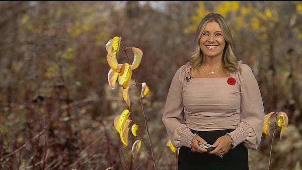 Sunny Tuesday brings mild temperatures
