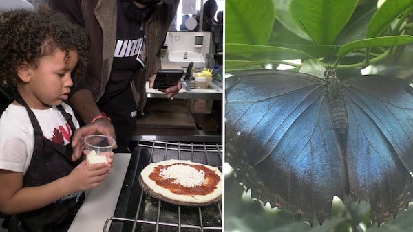 March Break fun begins with a demon hunt, pizza making and butterflies