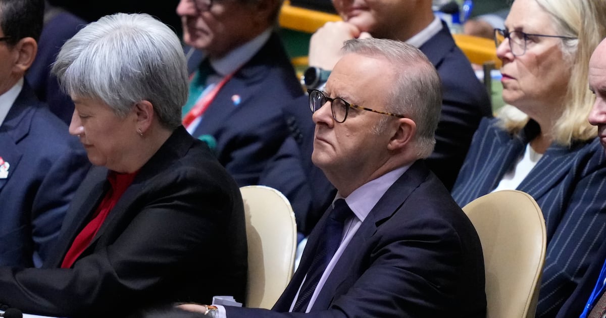 Australian PM says OpenAI hacked government health website - CTV News