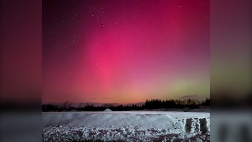 The Northern Lights are pictured in Sydney Forks, N.S., on Jan. 19, 2026. (Courtesy: Lexie Quinn)