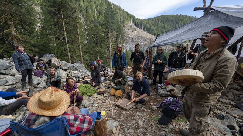 Fairy Creek anti-logging protesters win appeal in bid for class-action certification