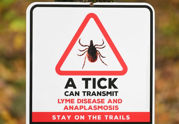 ‘It filled me with fear’: New Brunswicker warns others about tick bites