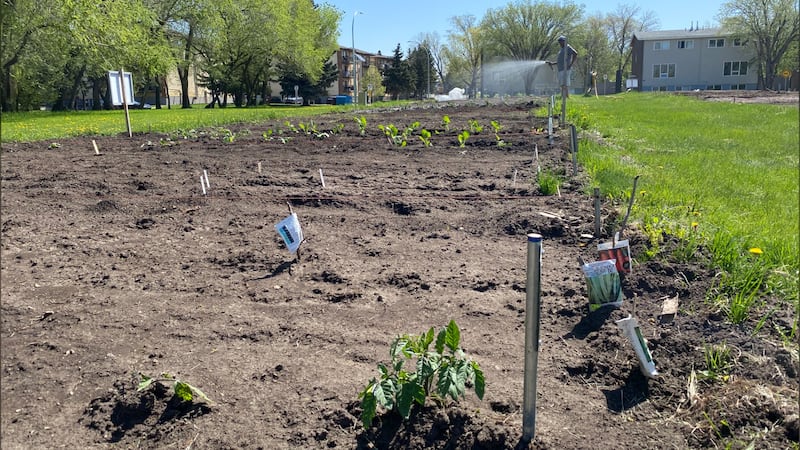 ‘Anomalously warm’: Here’s how hot temperatures will be in the Prairies