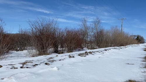 Some Saskatchewan farmers could face flooding and late spring seeding due to snowpack