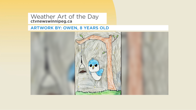 CTV Your Morning Weather Art