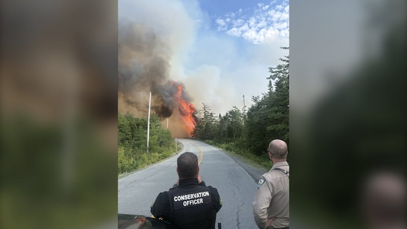 Mooseland Road wildfire no longer out-of-control, evacuation order lifted