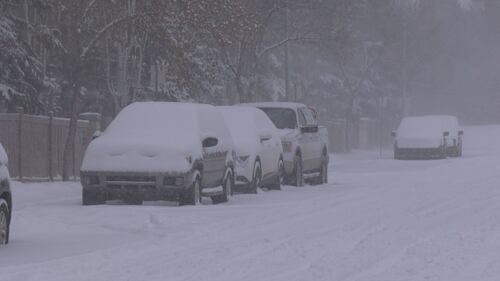 Snow clearing efforts and infill debate: Edmonton mayor discusses recent hot topics