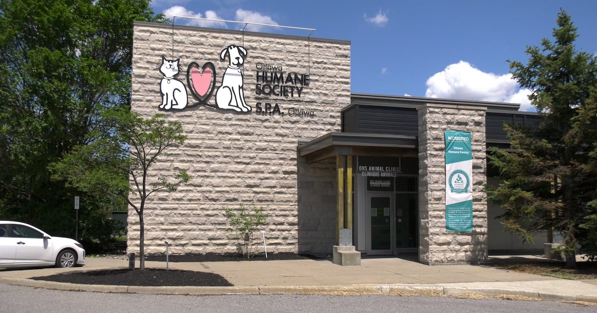 Ottawa Humane Society launches $15M campaign for affordable vet care clinic