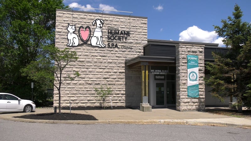 Ottawa Humane Society launches $15M campaign for affordable vet care clinic