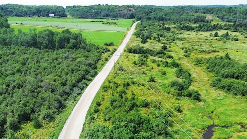 Concerns about fate of northern Ont. farmland if solar panel project proceeds
