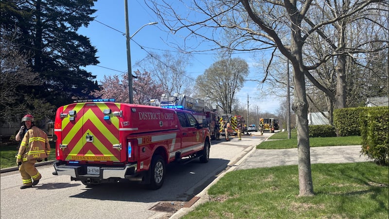 Cat dies after west end house fire