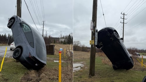 Tesla crashes into utility pole, ends up vertical in Hamilton