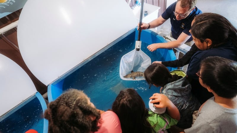 Hands-on science being taught at Walpole Island school with opening of fish hatchery