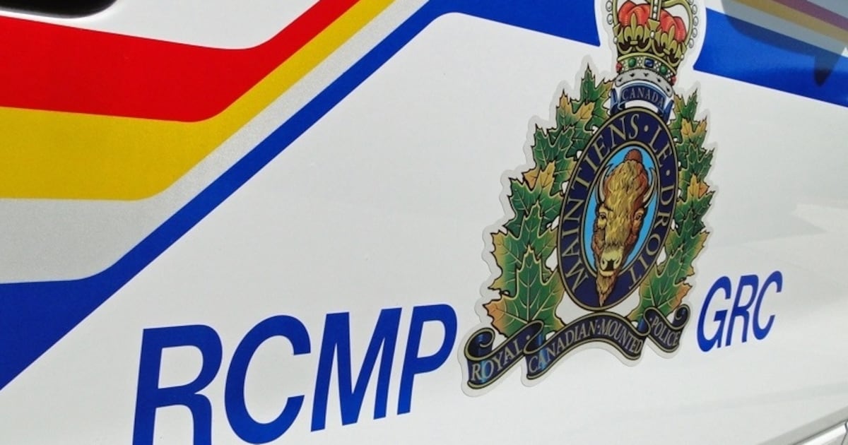 Computer Ganja Computers, marijuana plants seized as three arrested in Nipawin
