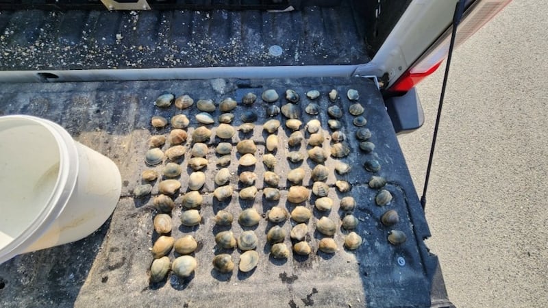 4 fined over illegal shellfish harvesting on Vancouver Island