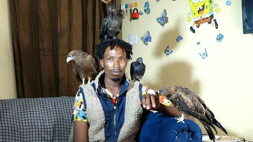 Kenya ‘Birdman’ is internet hit but worries health officials