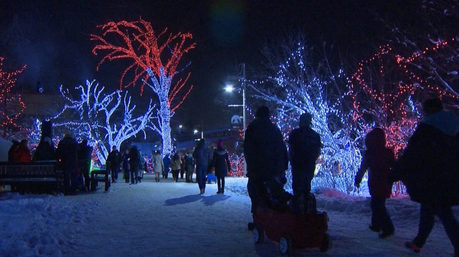 Calgary In December Whatβs open during Christmas holidays in Calgary