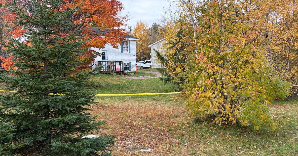 Man arrested for N.B. homicide while preparing to board plane bound for Dubai: RCMP