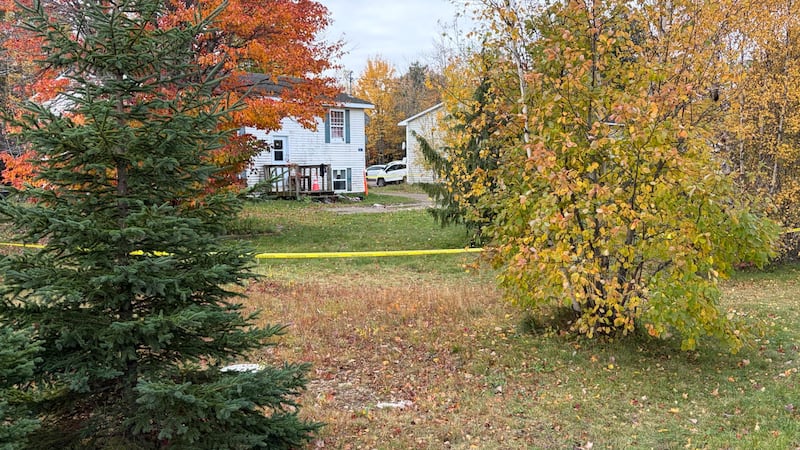 Man arrested for N.B. homicide while preparing to board plane bound for Dubai: RCMP