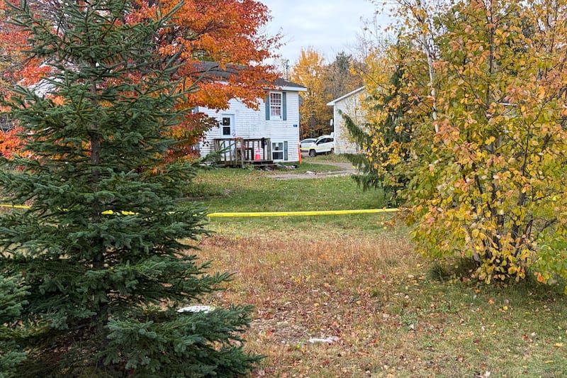 Man arrested for N.B. homicide while preparing to board plane bound for Dubai: RCMP