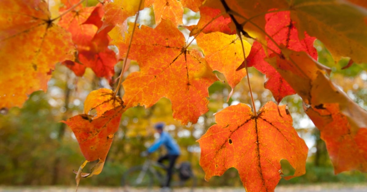 What's open and closed in Toronto on Thanksgiving 2021