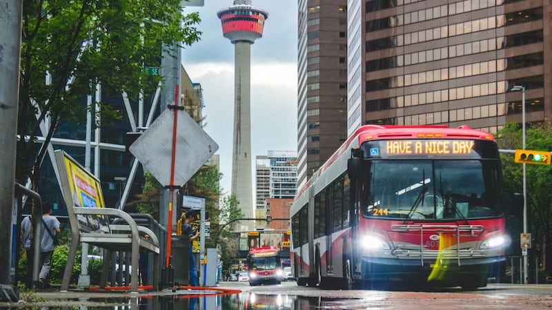 Red Bus Calgary Calgary Transit buys 120 new electric buses