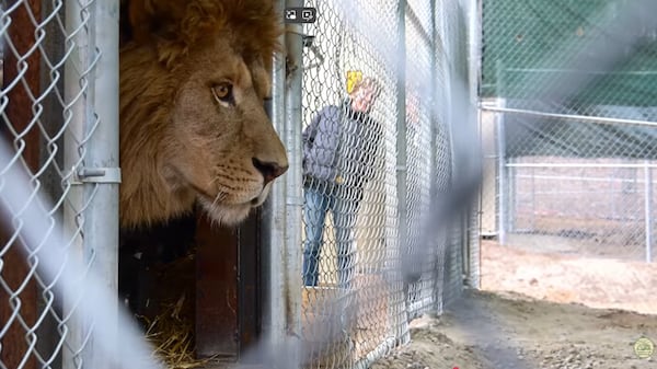 Part 3: Muskoka-based facility becomes ‘first of its kind sanctuary’ in Canada