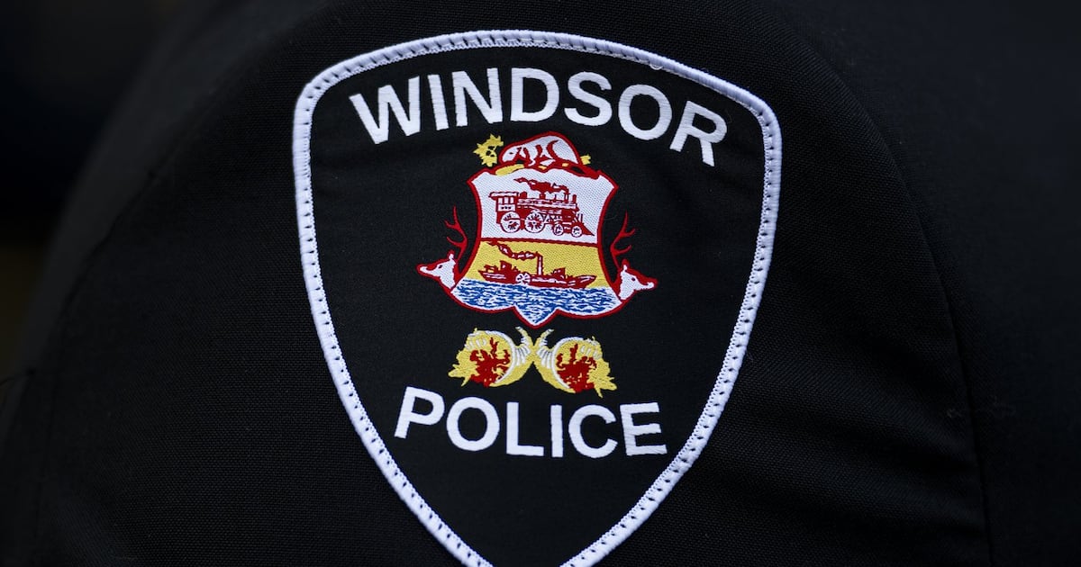 Windsor police investigating hit-and-run involving a pedestrian - CTV News